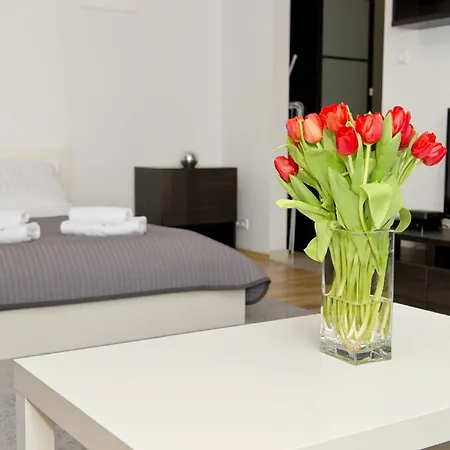 Apartment Design *